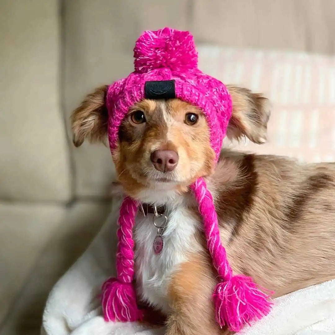 Fluffy Windproof Dog Hat with Knitting Method
